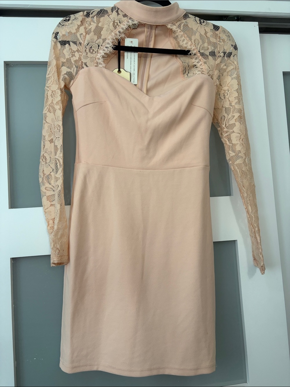 Parisian Collection Lace-Sleeve High Neck Bodycon Dress in Nude
